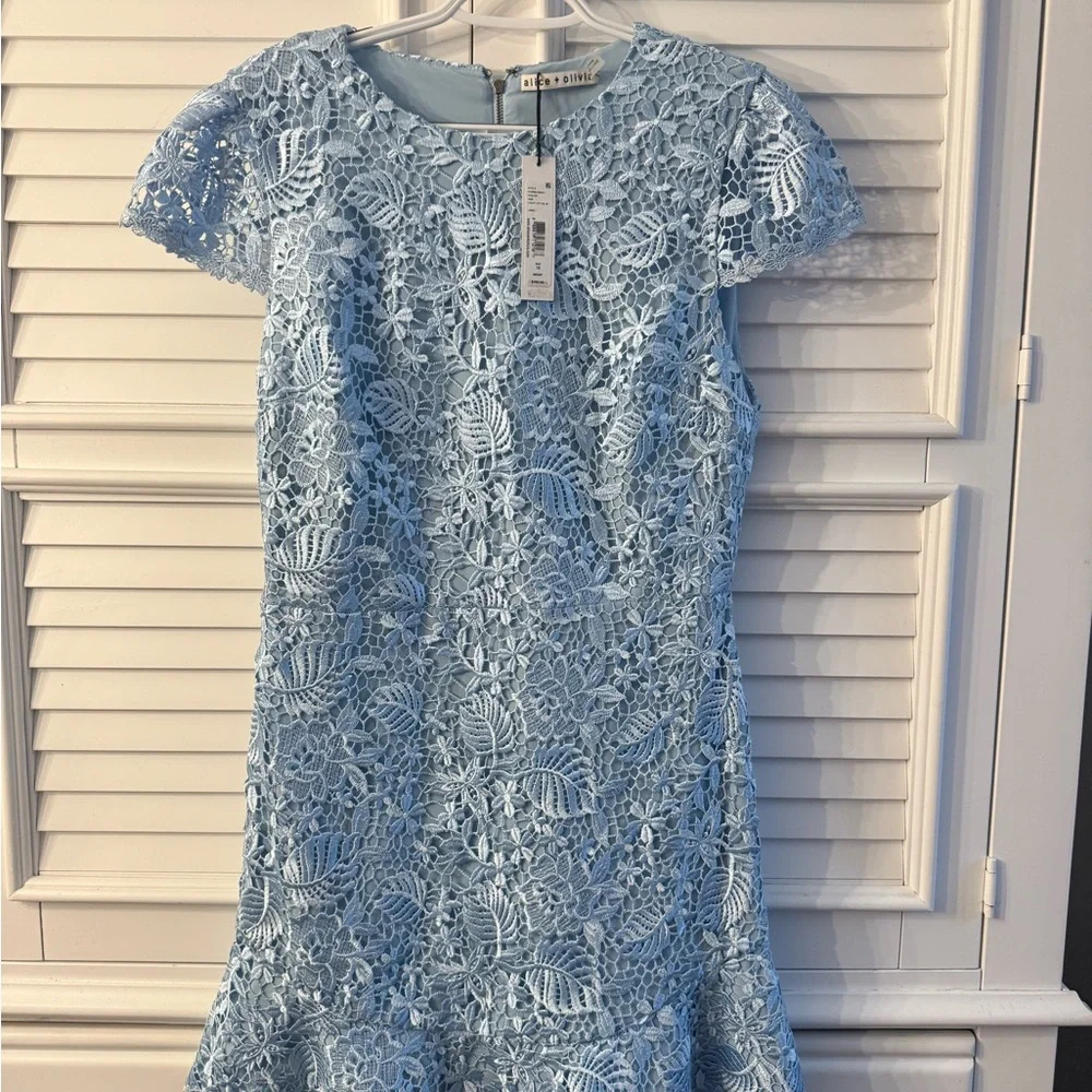 Alice + Olivia Rapunzel Lace Mini Dress Icy Blue (light blue) NWT Size 10 - Picture 11 of 17